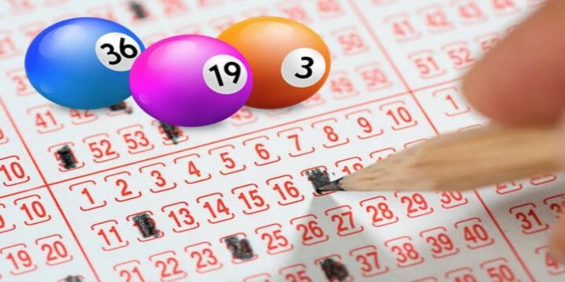 cach om bang lo de 1 Khi lựa chọn hình thức ôm lô đề, quan trọng là phải cân nhắc kỹ lưỡng